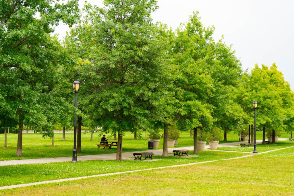 parc-des-faubourgs