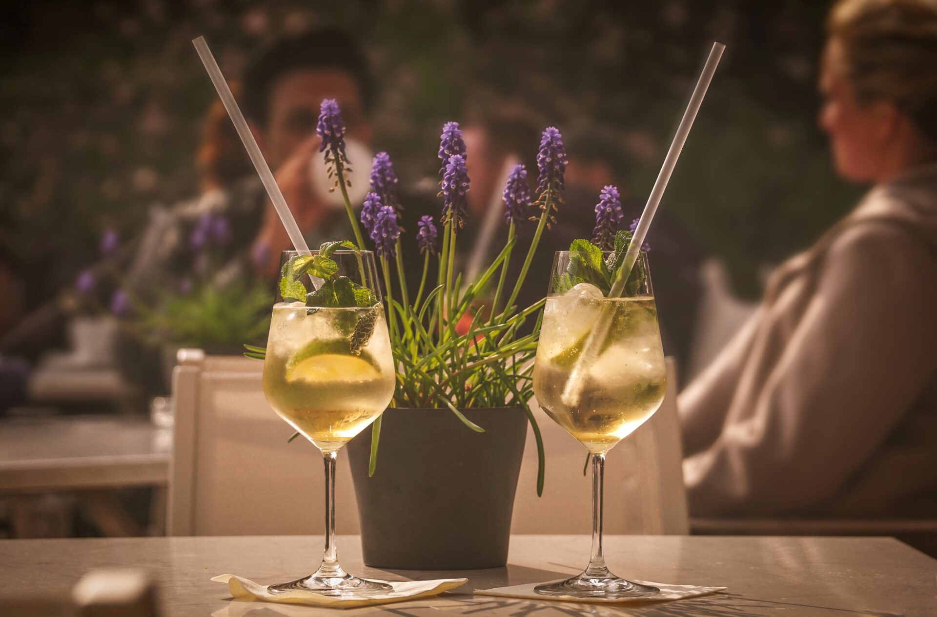 deux-coupes-de-vin-terrasses